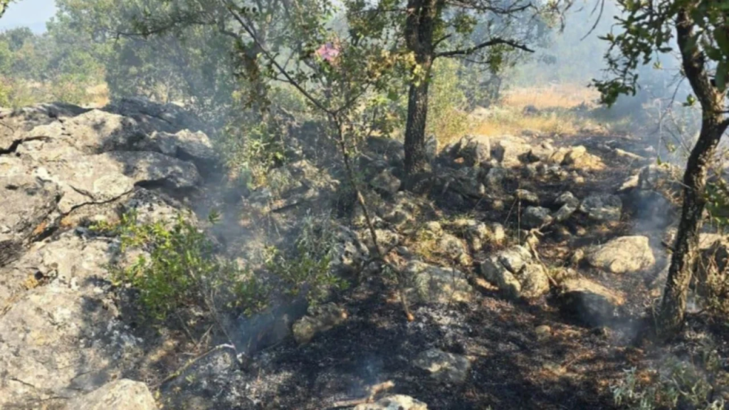 Situata e zjarreve në Shkodër! Vijojnë aktive disa vatra IMG 7769