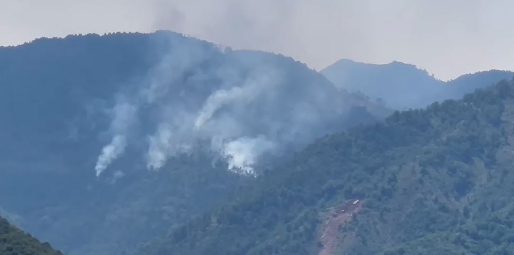 Dibër/ Riaktivizohet vatra e zjarrit në masivin pyjor të Tërnovës, era po favorizon përhapjen e flakëve Capture 25