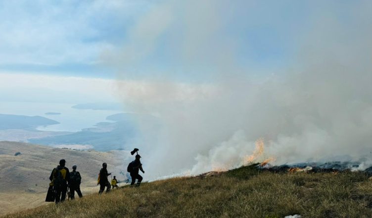 Zjarr i madh në Malin e Thatë WhatsApp Image 2024 08 09 at 08.33.04 752x440 1