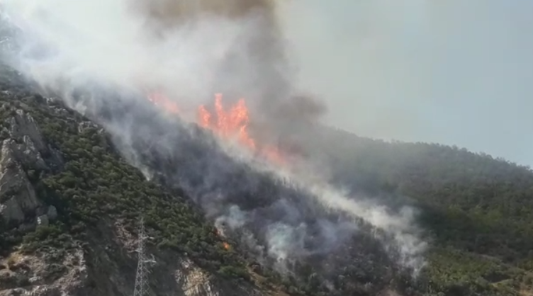 Zjarri në pyllin e Bodesë, arrestohet 53-vjeçari për zjarrvënie të qëllimshme zjarr Lezhe 1 752x418 1