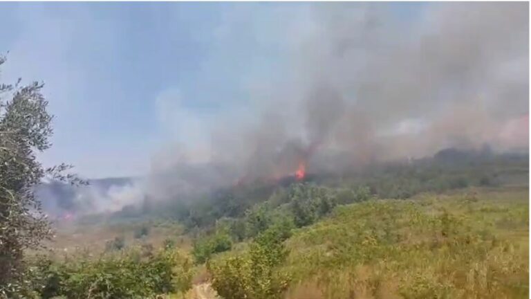 Dogji squfurin për tharjen e fiqve, zjarri i del nga kontrolli dhe i rrezikon shtëpinë zjarr1 1 768x432 1