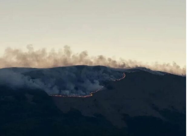 Vijon ndërhyrja nga ajri për vënien në kontoll të vatrave të zjarrit në Parkun Kombëtar të Prespës zjarri Prespa1 617x450 1