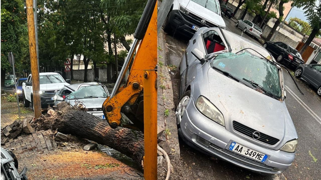 Pemët bien mbi makinat e parkuara, moti i keq shkakton dëme në Shkodër! IMG 8584