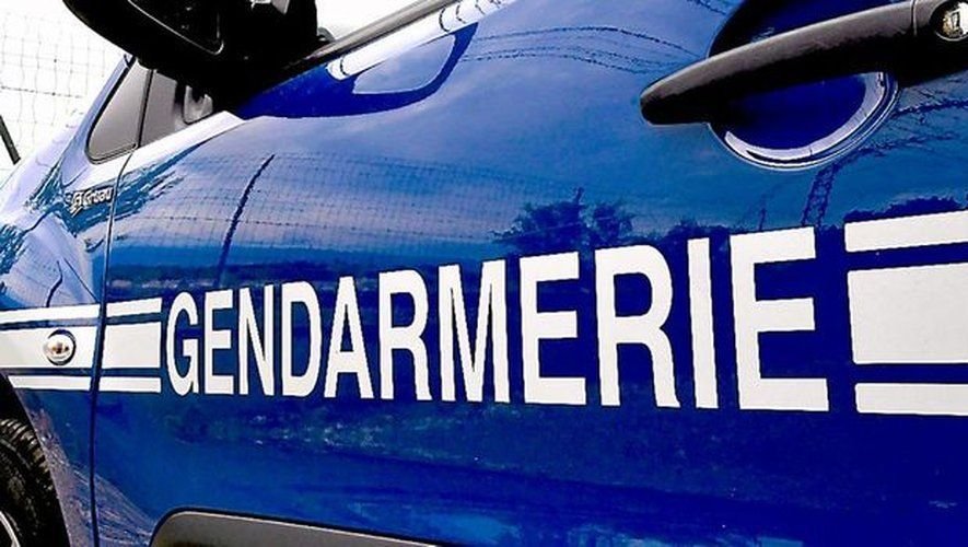 Arrestohet shqiptari në Francë, u kap me 54 kg marijuanë IMG 8659