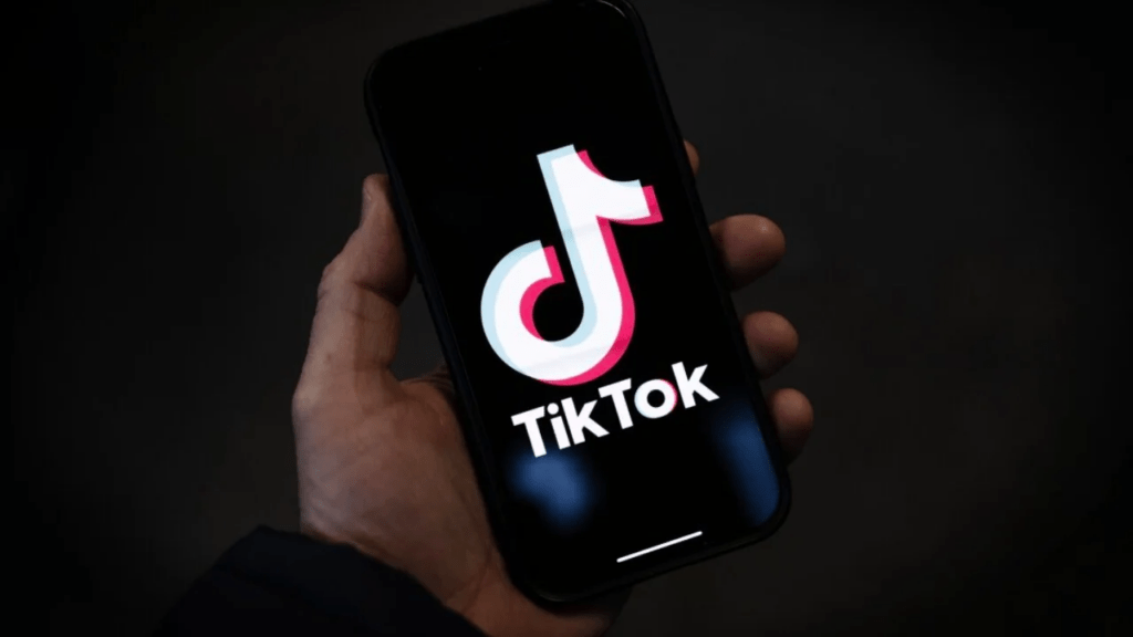 Shantazhuan 40-vjeçaren me foto intime në TikTok, arrestohen dy persona IMG 1045