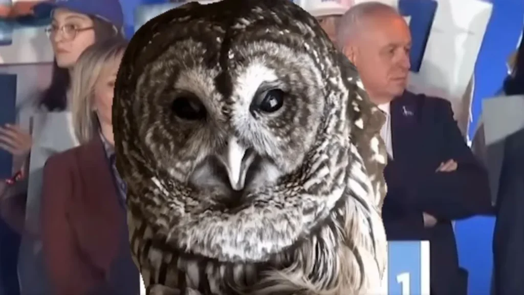 Rama vijon ironitë me Sali Berishën 2112 sd 2