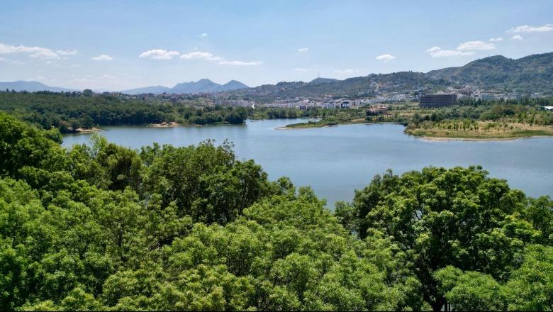 Spërkatje kundër gjarpërinjve në Liqenin e Tiranës, APR thirrje qytetarëve: Tregoni kujdes 1 liqeni i tiranes