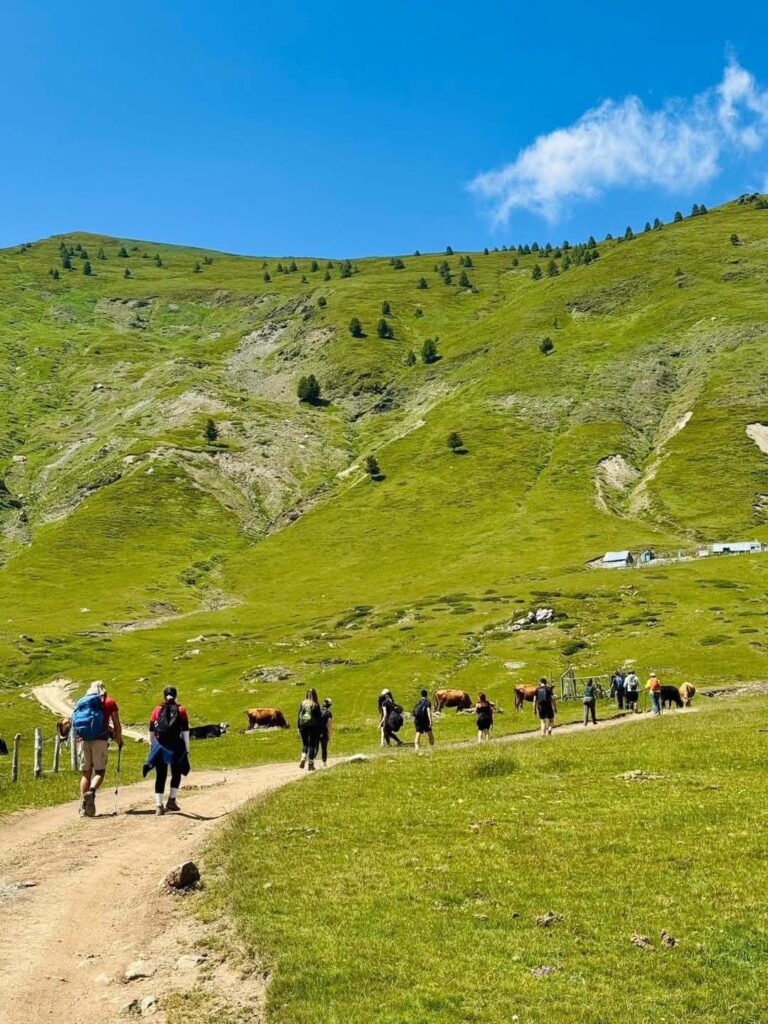 Rama poston fotot nga Dobërdoli: Një fshat i vogël veror alpin, po mbahet gjallë tradita e jetës në bjeshkë 3 512470833 1277165320445793 5382924410377148191 n