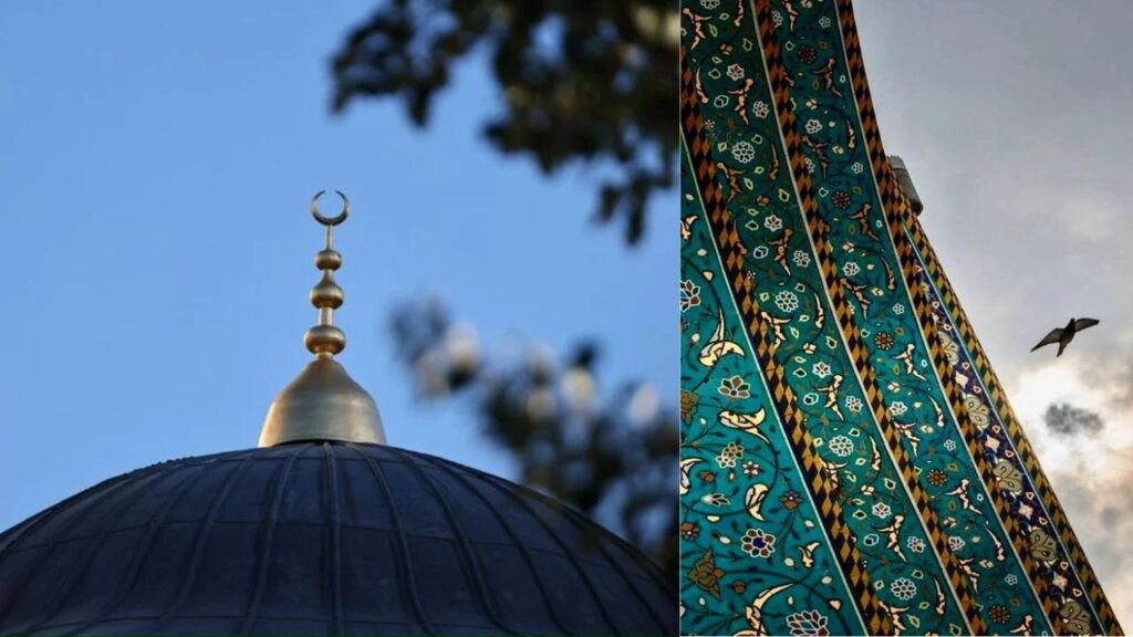 Dizajn pa titull 2024 06 16T091856 sd