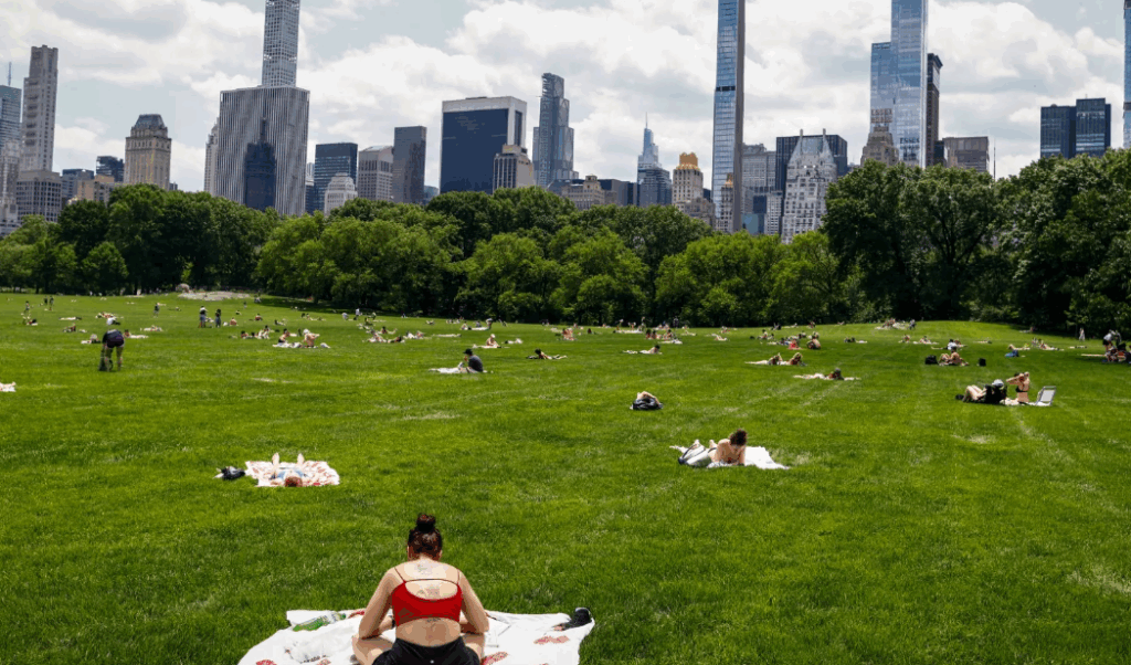 Screenshot 2025 06 25 161814