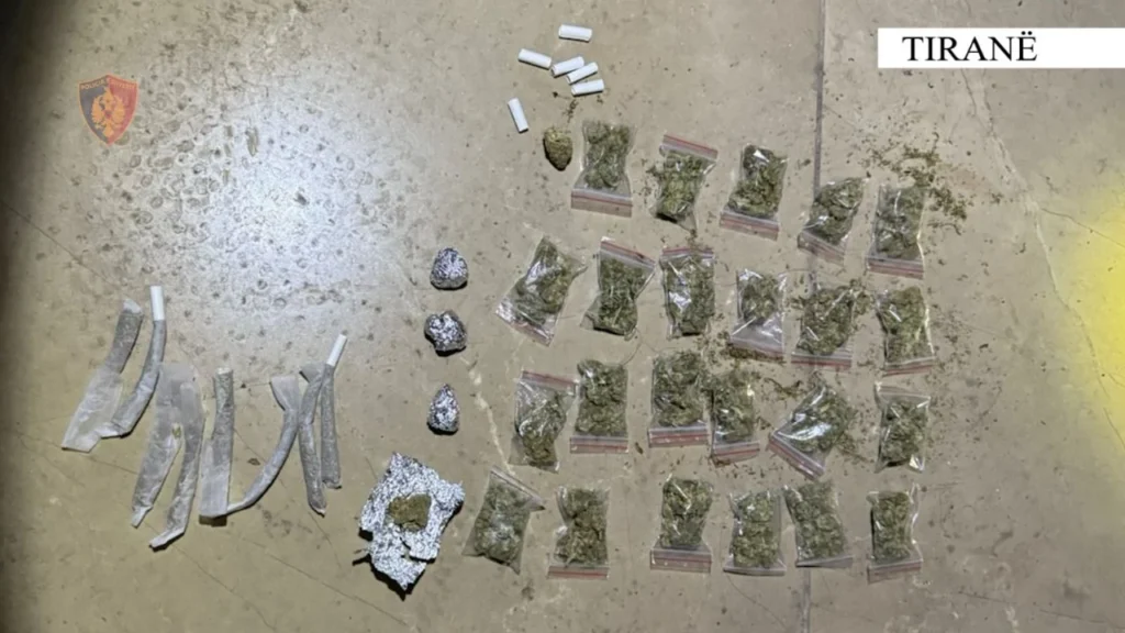 e0e556e4 6114 4b33 9bff 82db65cc092c sd