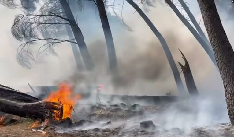 Zjarre në 12 bashki gjatë 24 orëve të fundit zjarri Krasta1 765x450 1