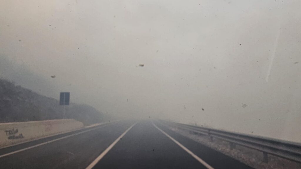 8abd3c19 dd9f 49f4 bade 666002d8250d