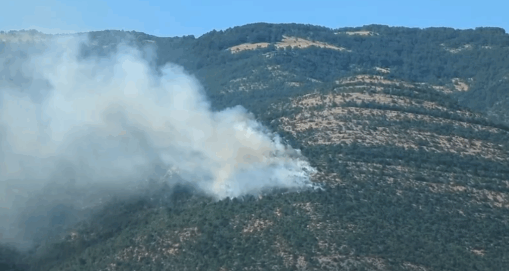 Screenshot 2025 07 04 121030