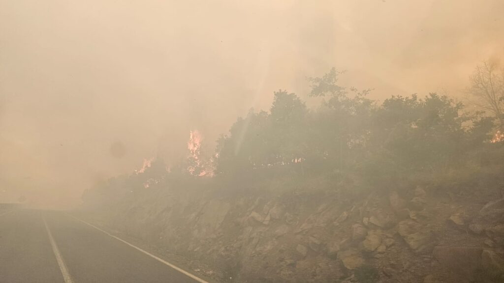 d8067b0e 3be5 4cb0 bc84 e86adecea567