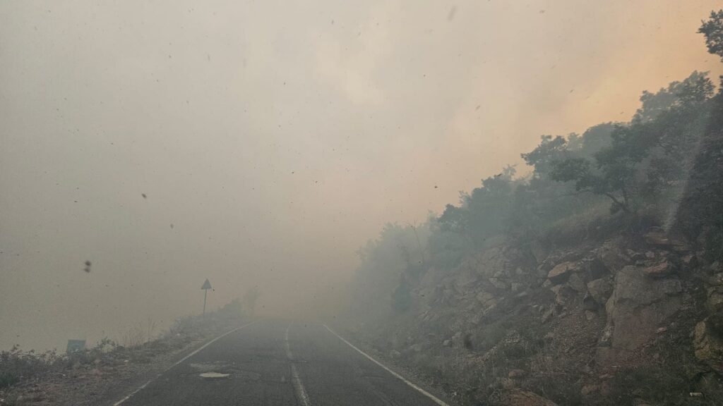 dbed8787 394e 4a51 acbc 865bc6b03871