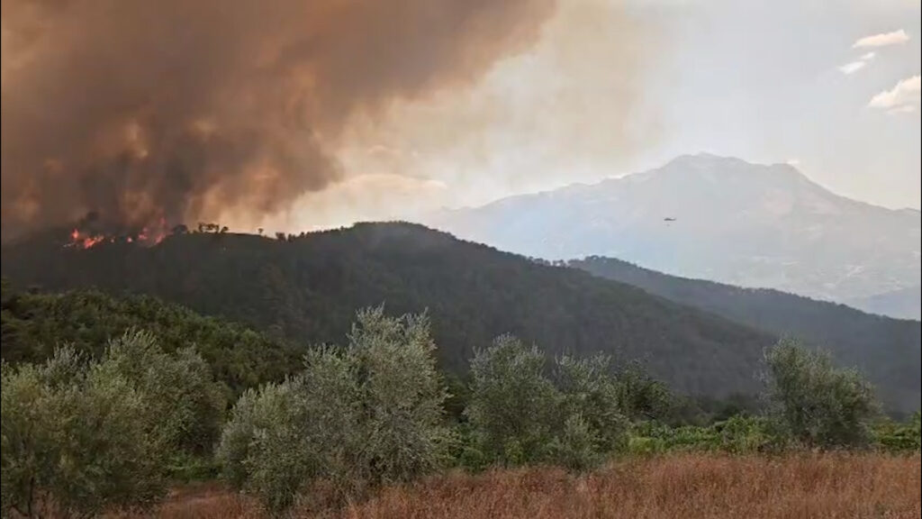 1755002095 Sequence01.01230709.Still271