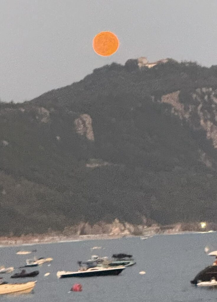 Fotolajm nga Rama: S’është pikturë, është Dhërmiu live, pa filtra 1 529320605 1309999033829088 1963412372312696480 n
