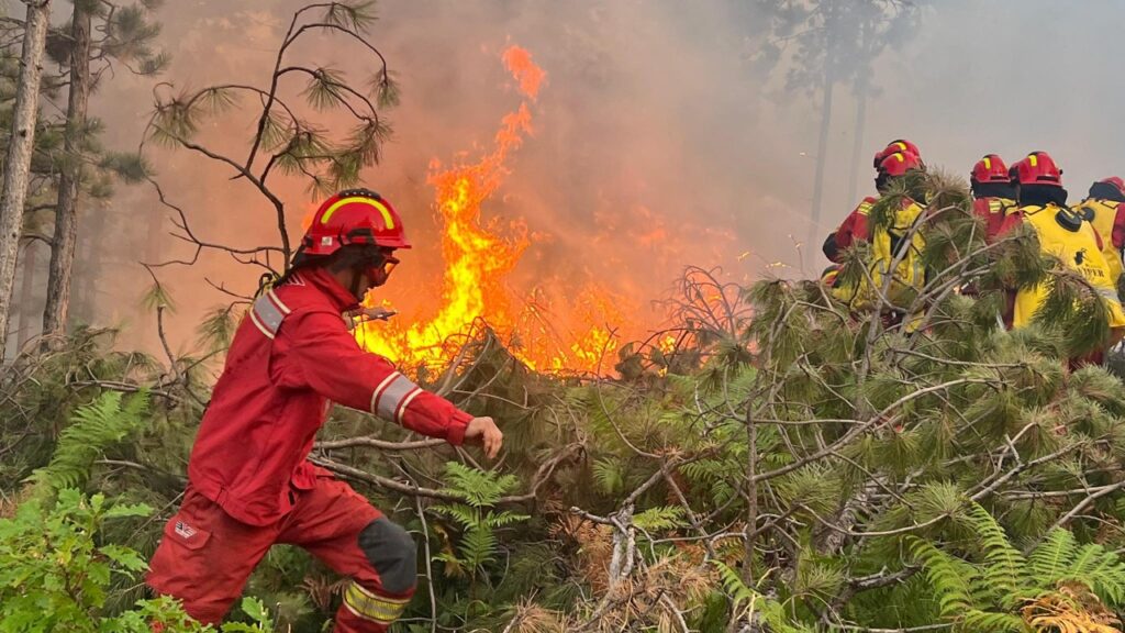 533940487 1168934941940896 4768758761248514825 n sd