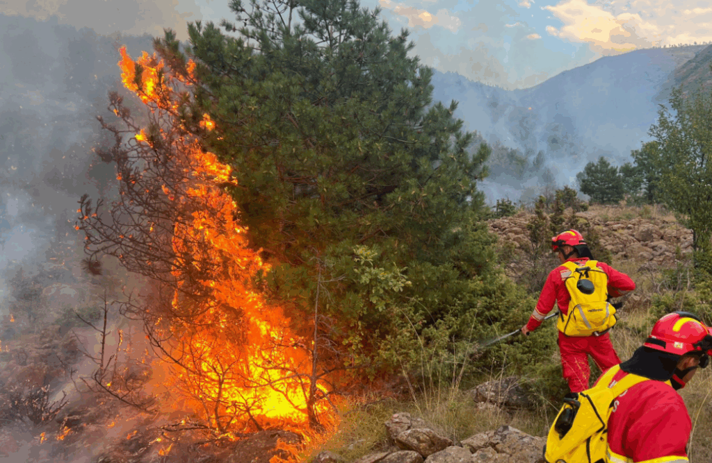 Screenshot 2025 08 08 212445