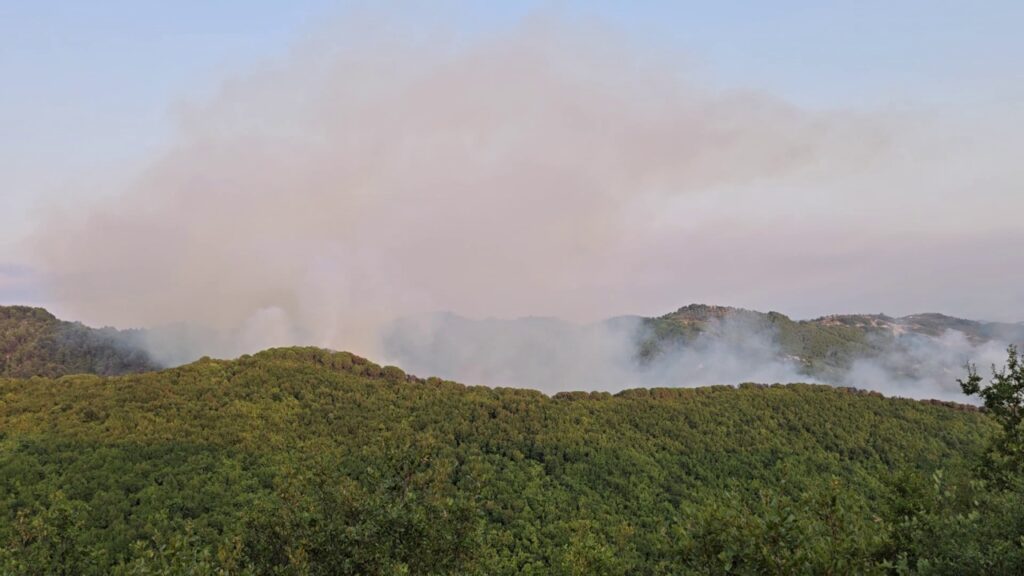 vlcsnap 2025 08 08 12h04m59s399 sd