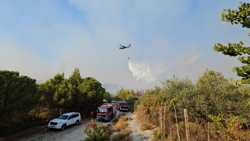 19 vatra zjarri gjatë orëve të fundit zjarr sd