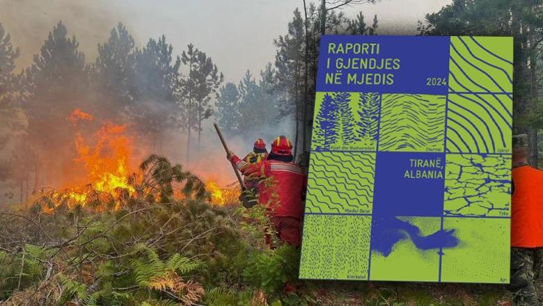 Raporti/ Zjarret shkrumbuan 57 mijë ha pyje e kullota 1756879419 6865