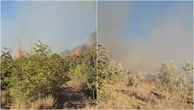 Flakët e favorizuara nga era rrezikojnë Parkun Kombëtar 640 0 d6a9acf1ff4fd51a0ffb6f788e3c530d