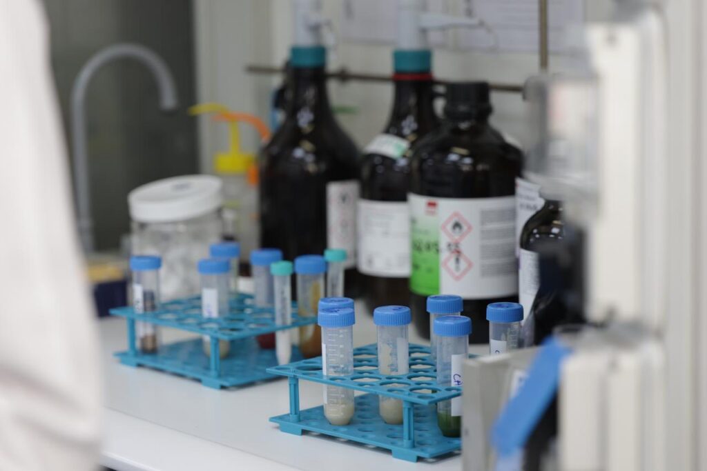 557499924 1347985790671122 7967102349224940814 n