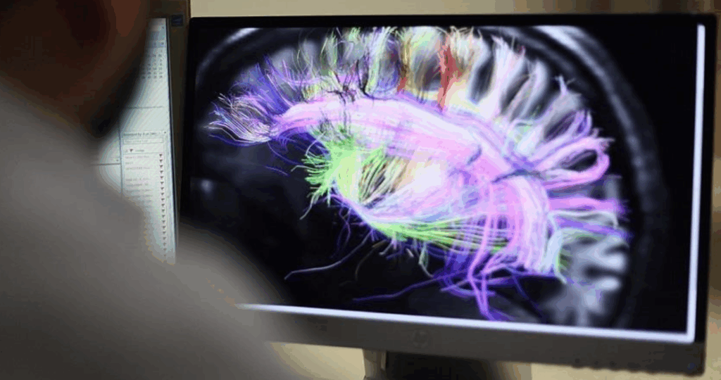 Screenshot 2025 10 15 082221