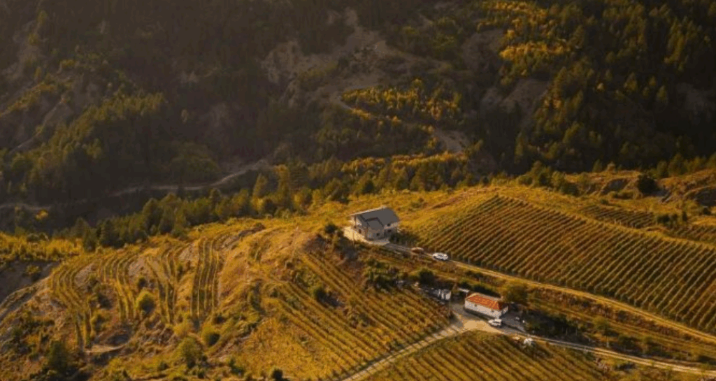 Screenshot 2025 10 16 094745