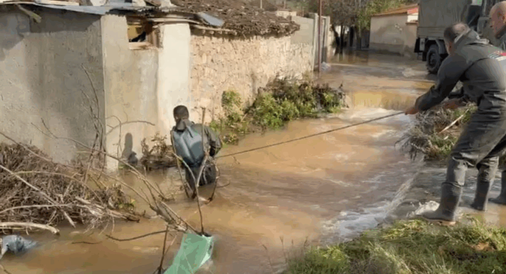 Screenshot 2025 11 21 142059