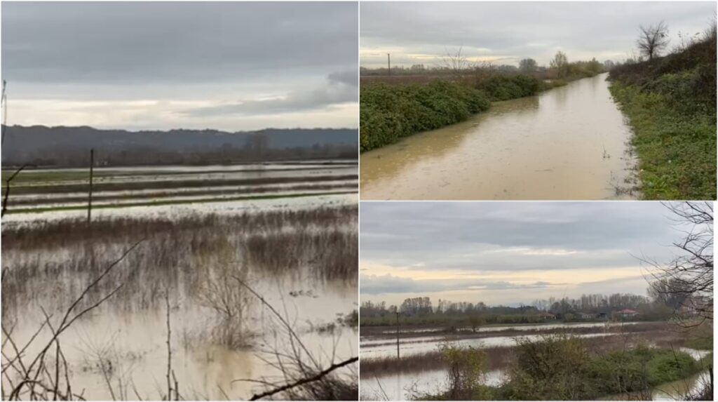 lumi ishem del nga shtrati