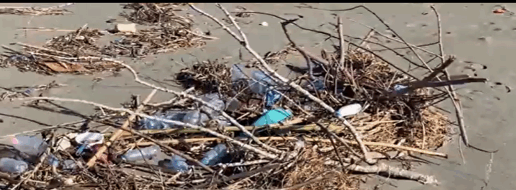 velipojaScreenshot 2025 11 30 154311