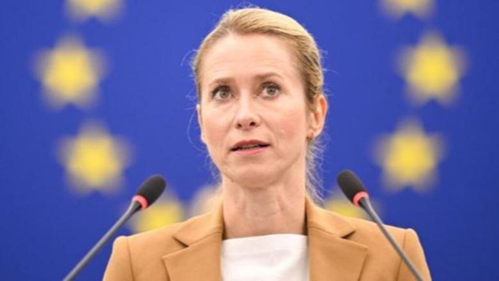 kallas 1767880788 kajakallas