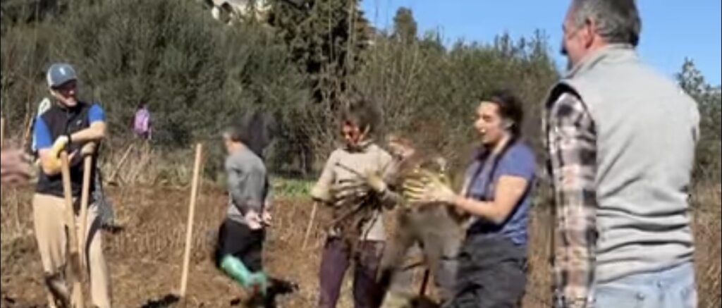Në mbrojtje të Vjosës/ Të rinjtë nga e gjithë bota me mision në Shqipëri, mbjellin 3 mijë fidanë në zonë IMG 8353