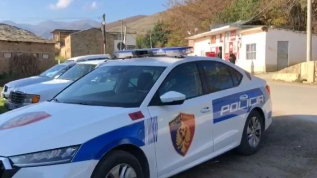 Dhunoi fizikisht babain dhe vëllain e tij, arrestohet 35-vjeçari në Bulqizë IMG 9470