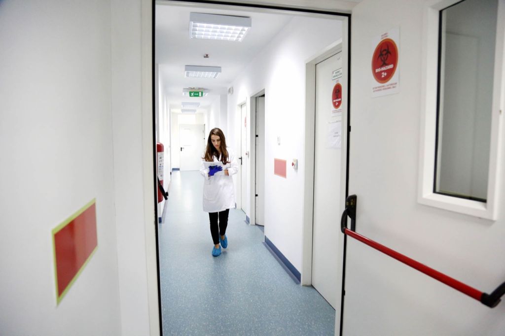 Programi i Praktikave të Punës, urë drejt punësimit për të rinjtë në bujqësi IMG 9880