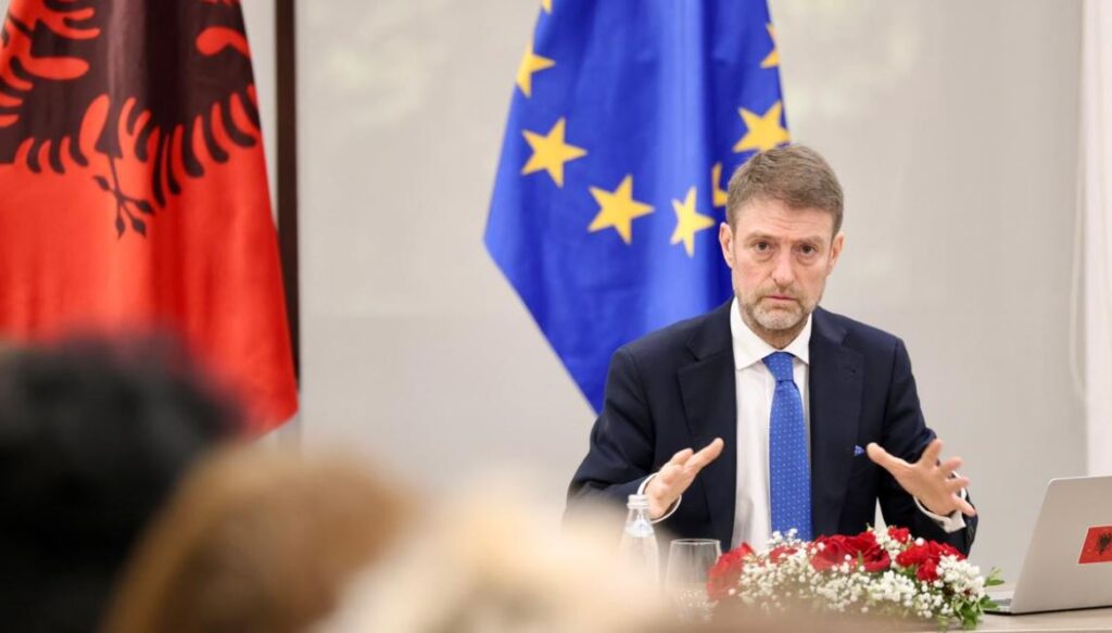 “Po ata idiotët shqiptarë atje çfarë thonë”/ Ministri Ferit Hoxha: Qëndrimet mbi politikën e jashtme nuk komunikohen me SMS ferit hoxha1
