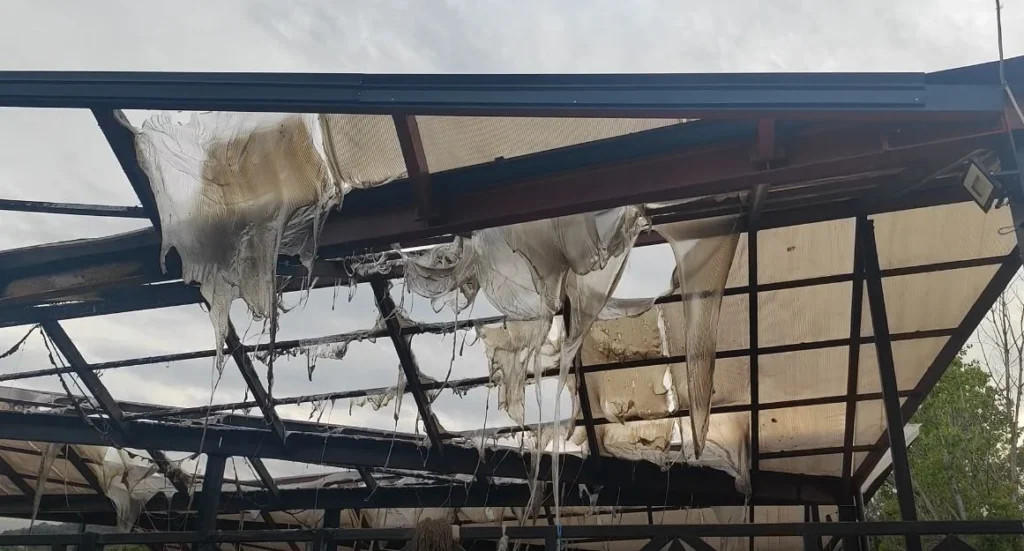 Zjarr në tregun e fruta-perimeve në Lushnjë, digjet një pjesë e çatisë dhe mallrat IMG 3501