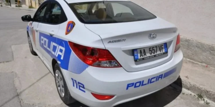 Të shtëna me armë zjarri në Kamëz, vritet një person IMG 4954