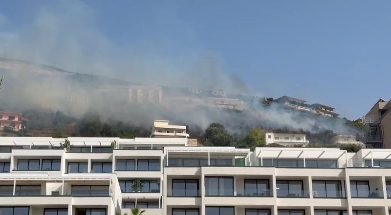 Vlorë/ Zjarr në Ujin e Ftohtë, era dhe temperaturat e larta favorizojnë përhapjen e flakëve 800 0 43ded0c972d23a9f746a4c58dfde255c