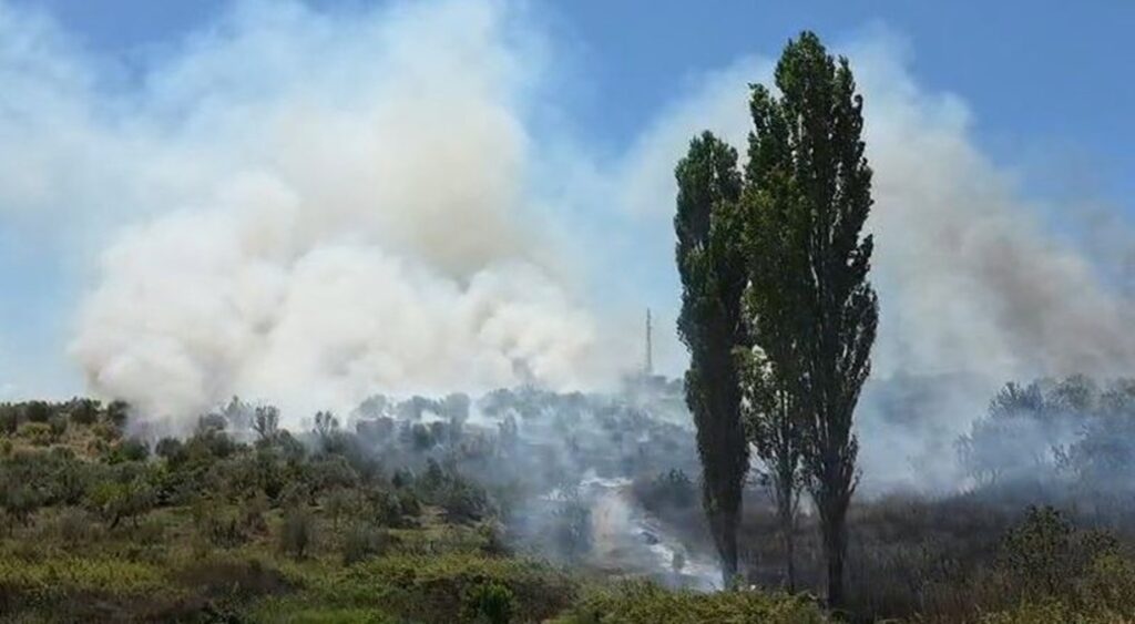 Fier/ Flakët përfshijnë një sipërfaqe me ullinj në Drizë, zjarrfikësit në terren Fier