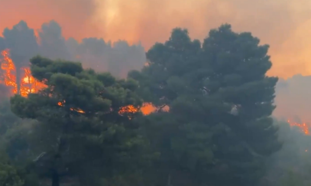 Shuhet zjarri në malin e Shëngjinit pas 24 orësh, arrestohet 57-vjeçari shengjin