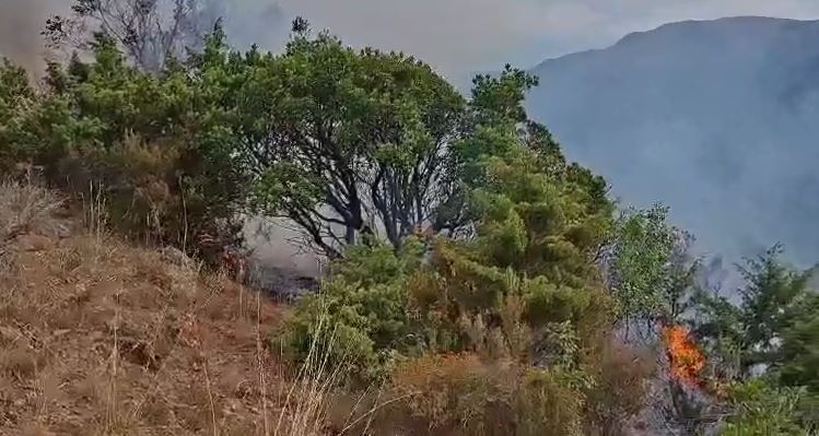 Zjarri në zonën Lundër të Matit, zjarrfikësit në terren për shuarjen e flakëve zjarr