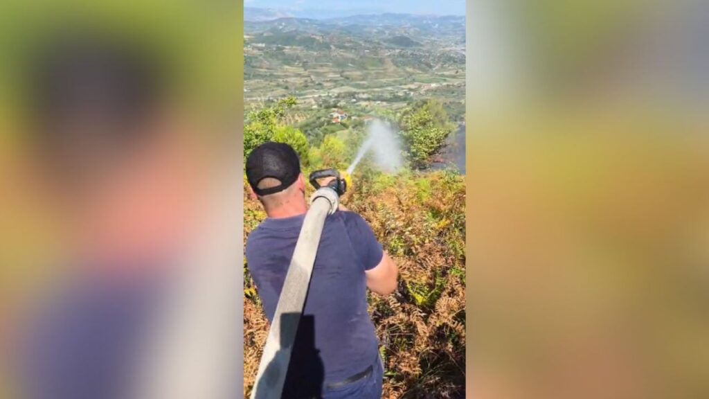 Neutralizohen flakët në Drenovë të Mallakastrës, dogjën 10 hektarë me ullinj dhe pyll 1