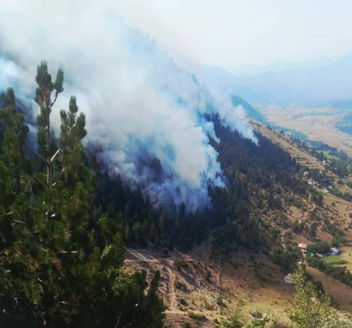 Zjarri në Parkun e Lurës në Dibër jashtë kontrollit, flakët djegin 300 hektarë pyje. Në operacion 2 avionë dhe 2 helikopterë Lura sot