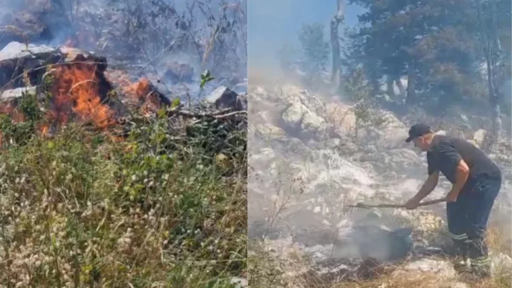 Zjarret, 5 vatra aktive në vend! Në Mallakastër flakët drejt disa fshatrave elbasan zjarri sd