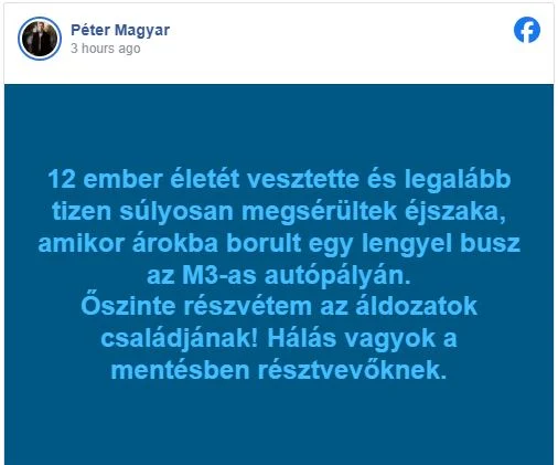 Aksident i rëndë në Hungari/ Autobusi me targa polake përfundon në kanal, 12 të vdekur dhe 10 të plagosur 1 image 20