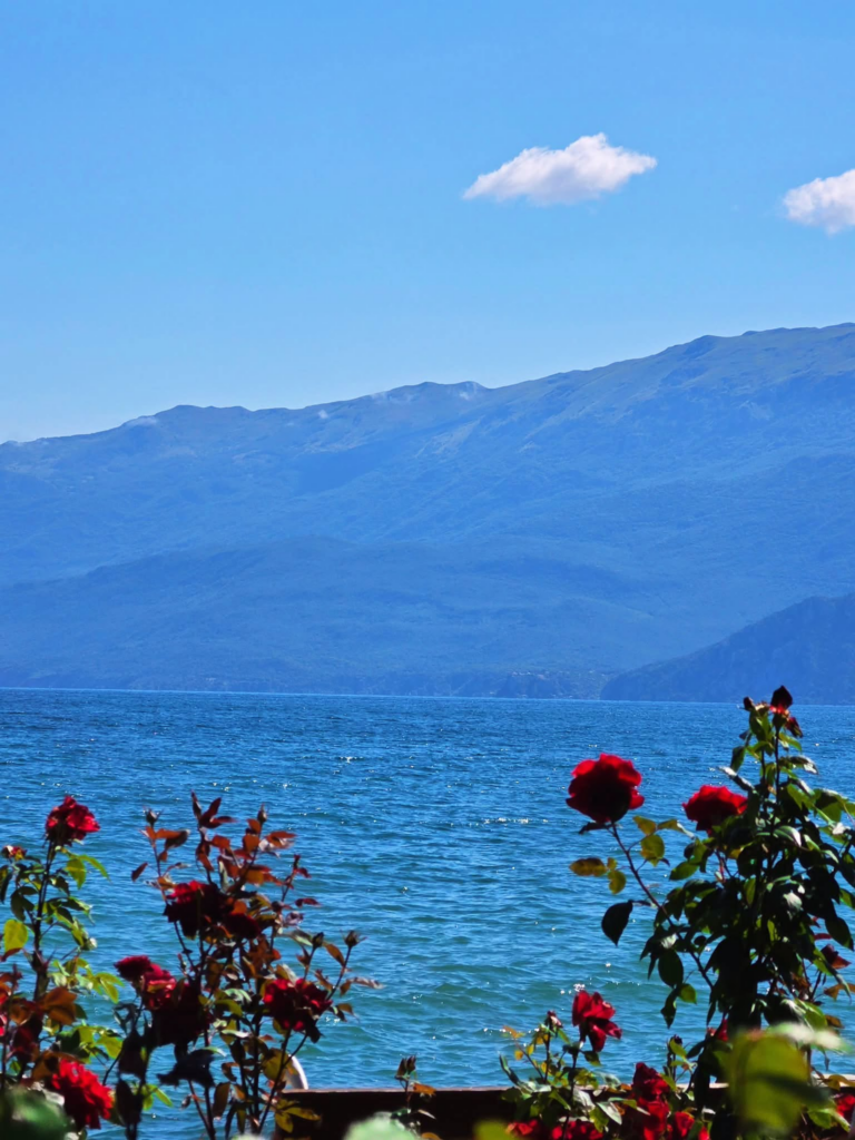 image 359 768x1024 1